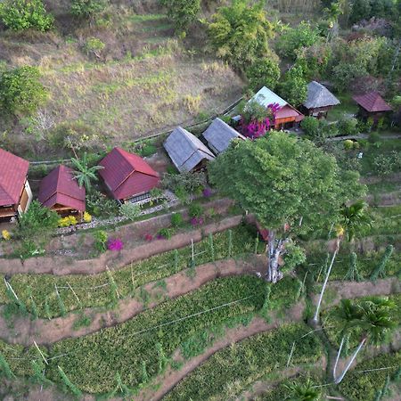 Hotel Rinjani Mountain Garden Bayan Zewnętrze zdjęcie