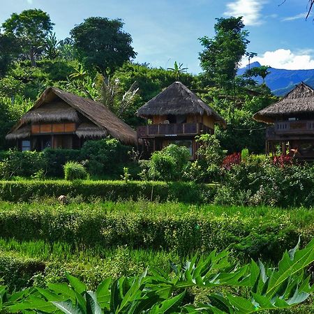 Hotel Rinjani Mountain Garden Bayan Zewnętrze zdjęcie