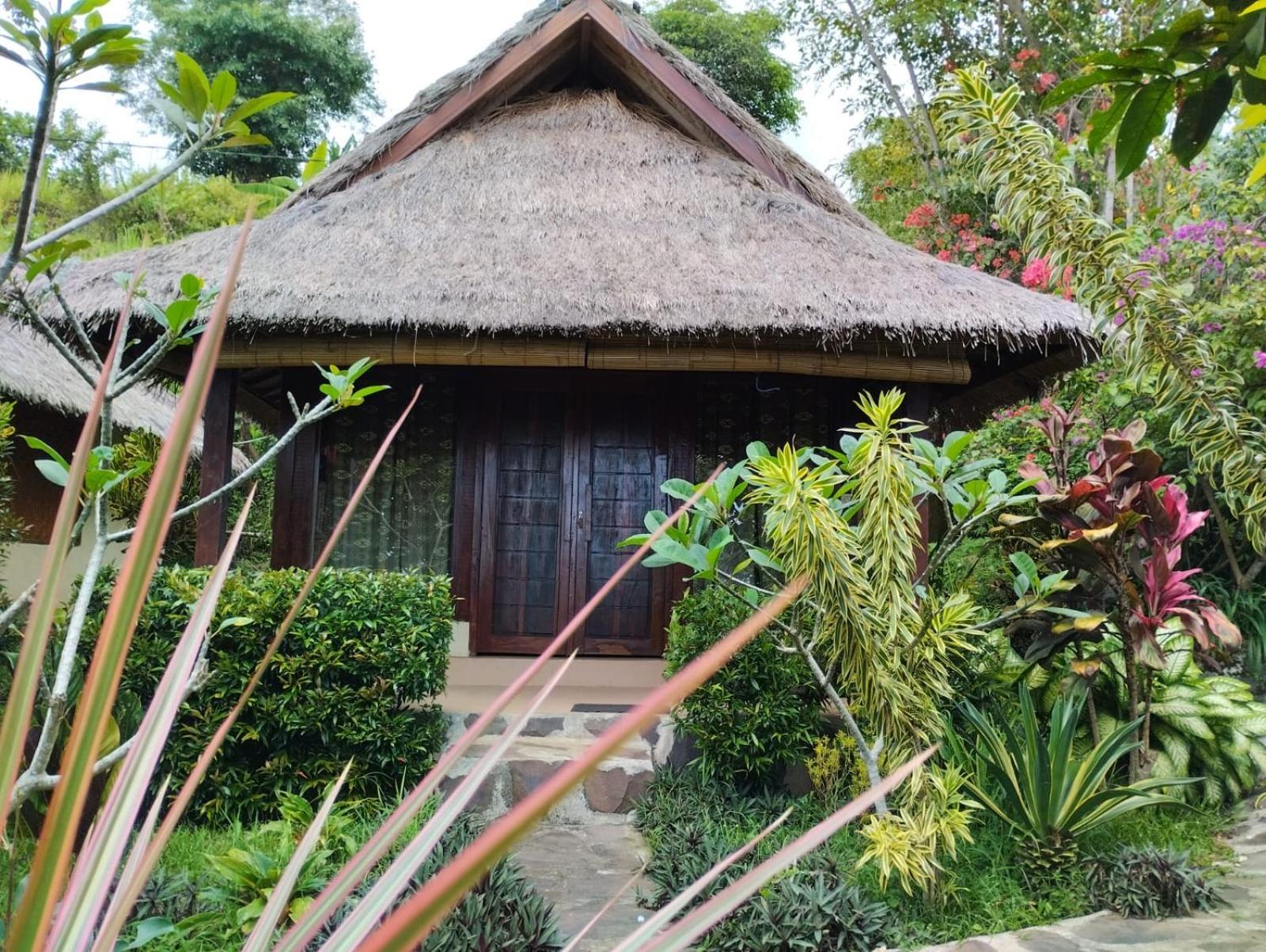 Hotel Rinjani Mountain Garden Bayan Zewnętrze zdjęcie
