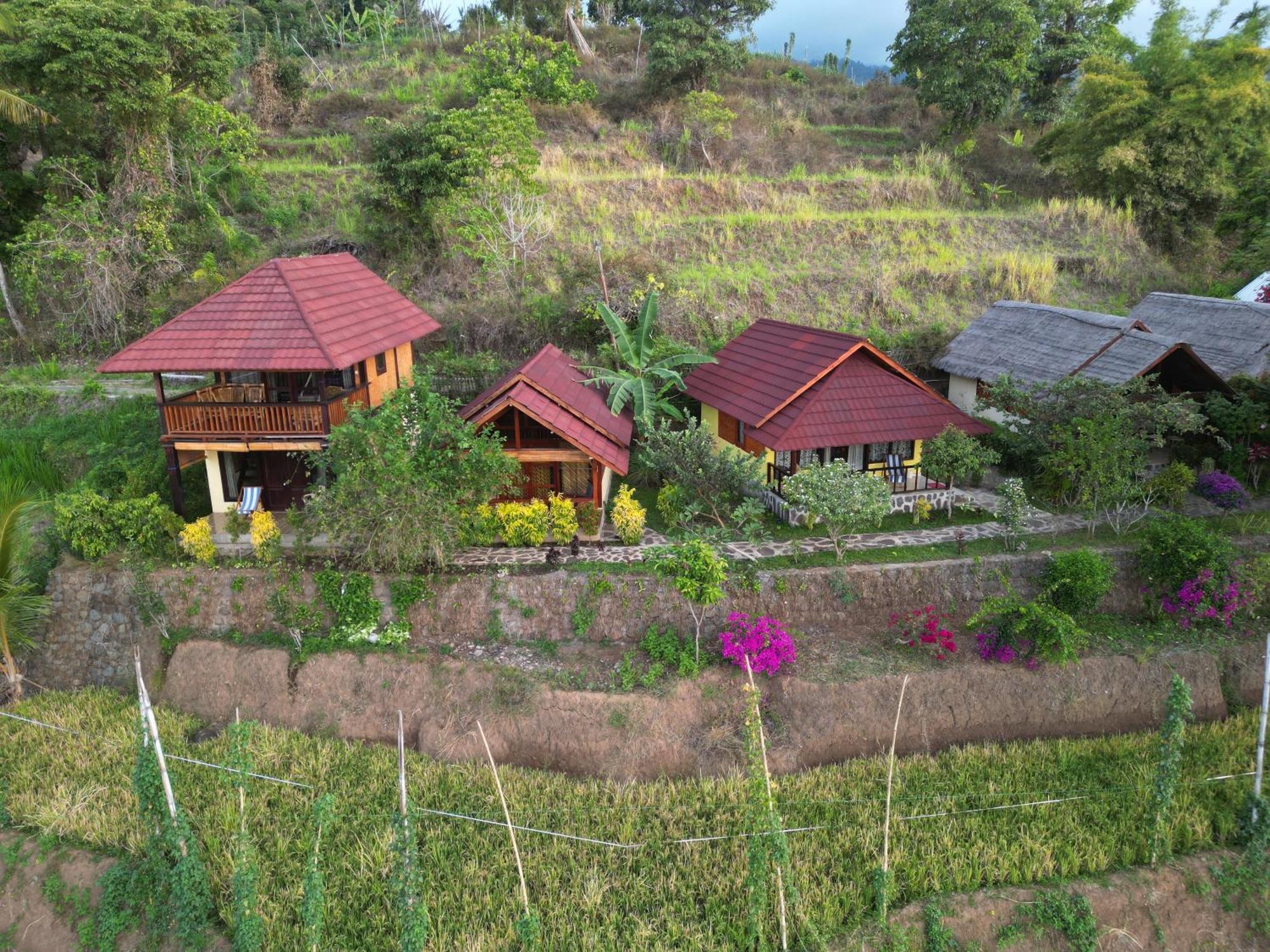 Hotel Rinjani Mountain Garden Bayan Zewnętrze zdjęcie