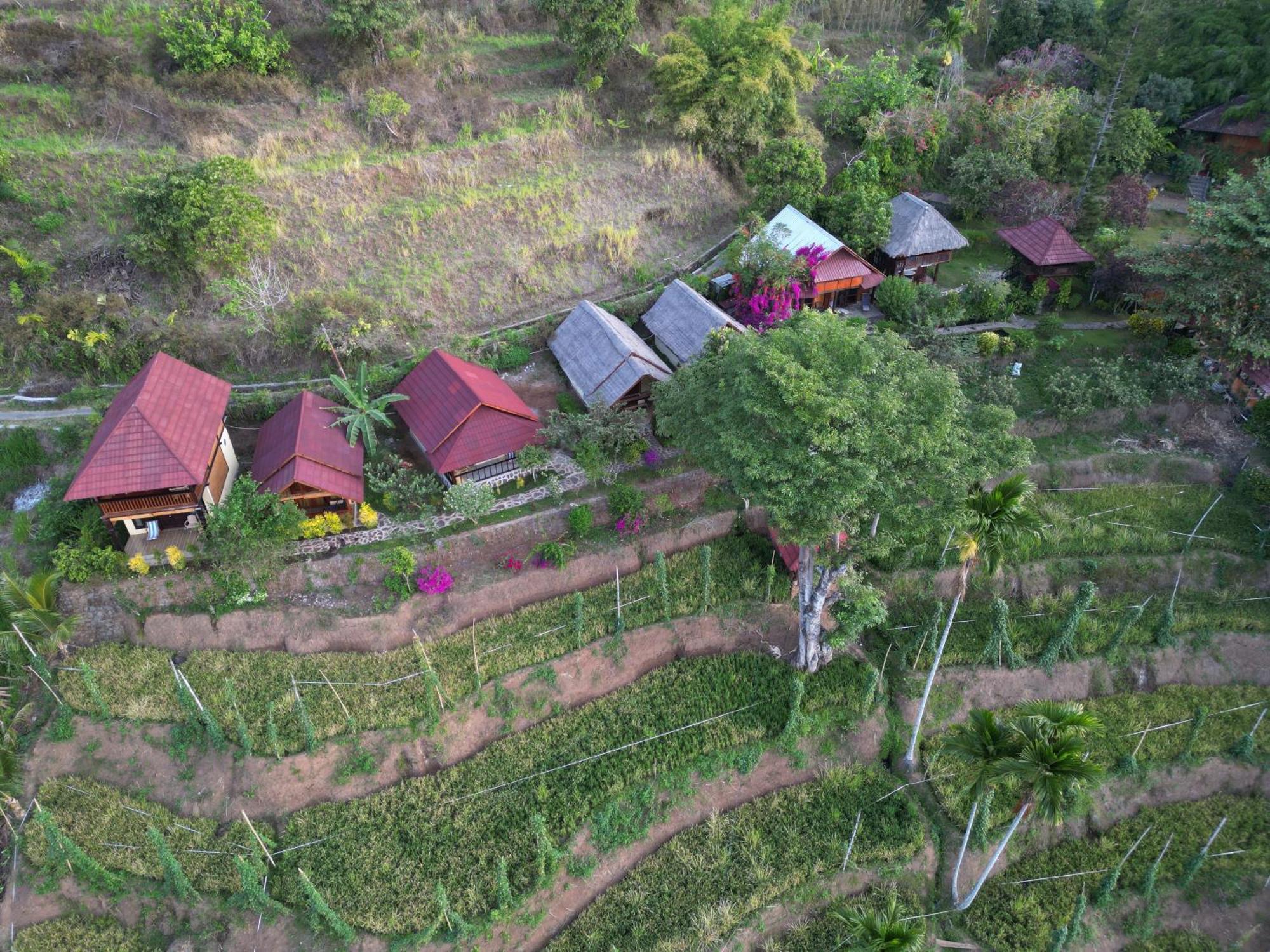 Hotel Rinjani Mountain Garden Bayan Zewnętrze zdjęcie