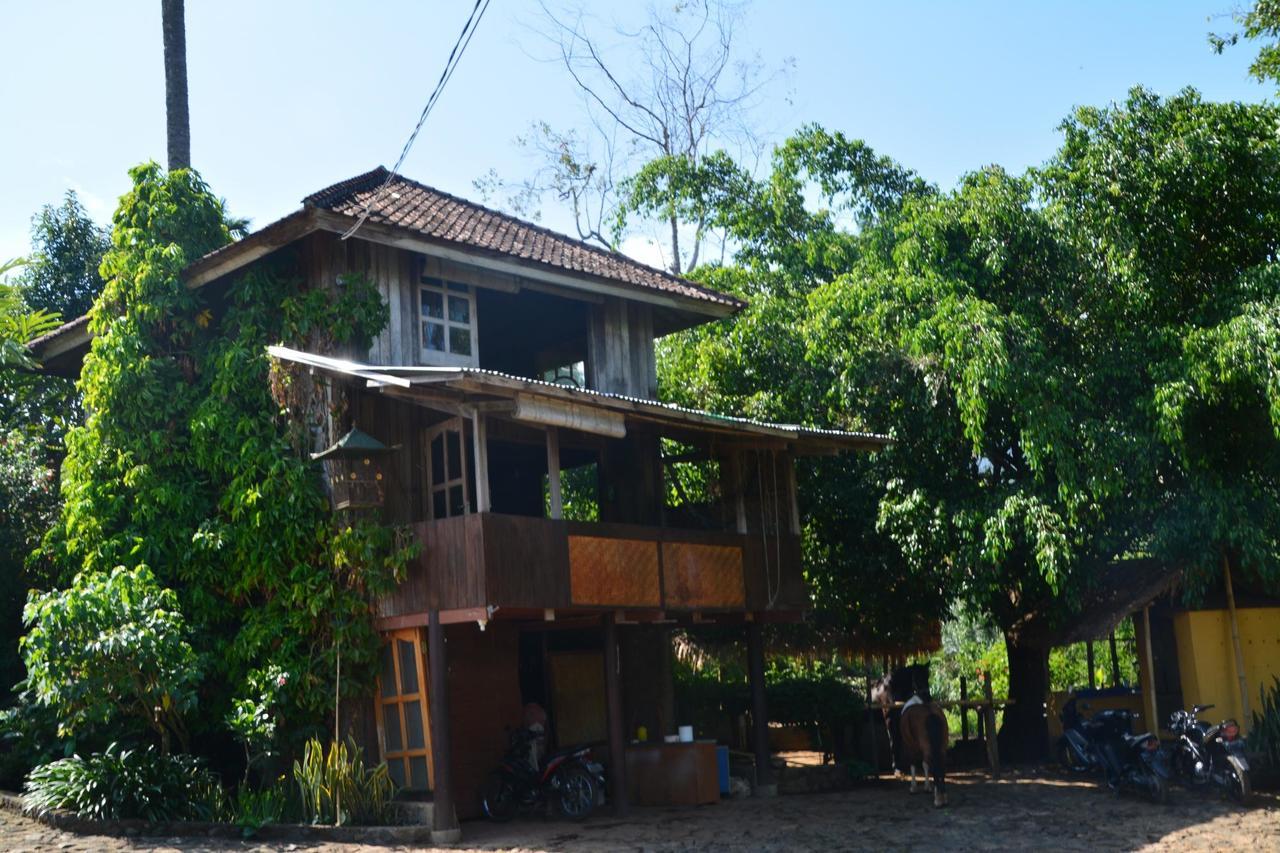 Hotel Rinjani Mountain Garden Bayan Zewnętrze zdjęcie