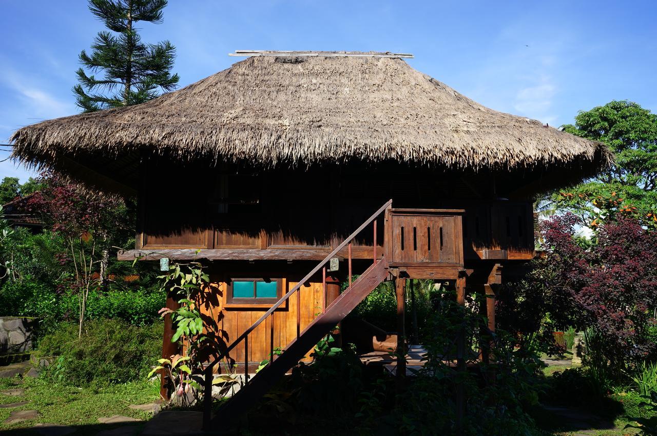 Hotel Rinjani Mountain Garden Bayan Zewnętrze zdjęcie