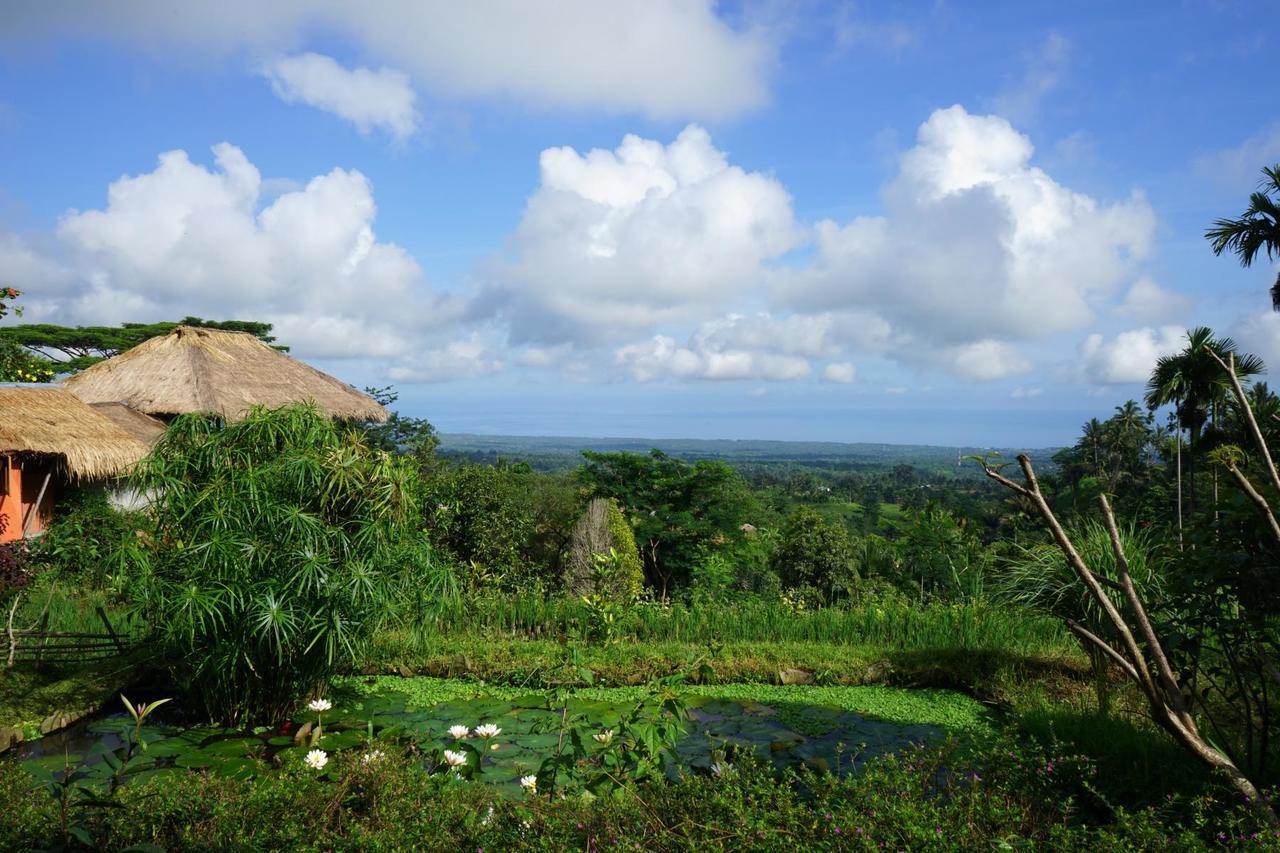 Hotel Rinjani Mountain Garden Bayan Zewnętrze zdjęcie