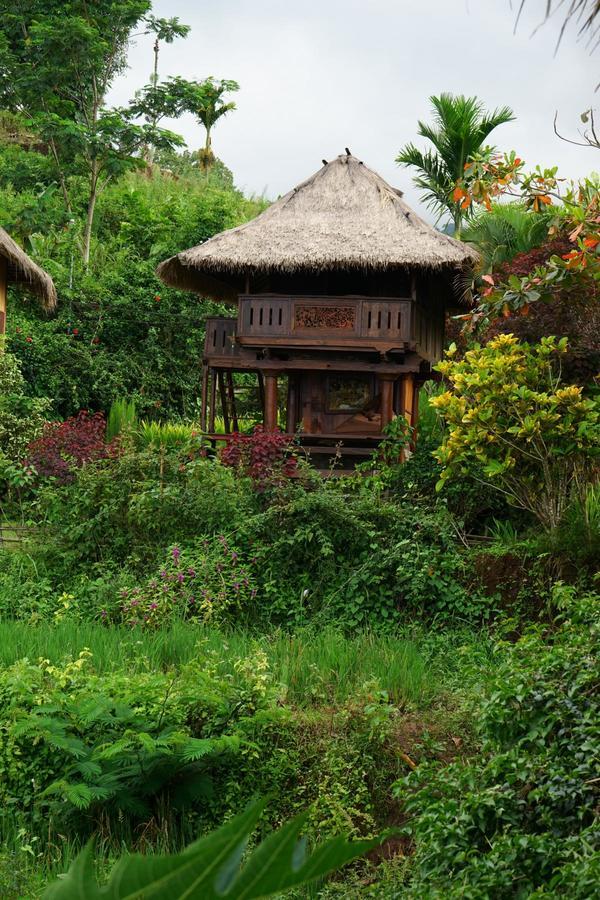 Hotel Rinjani Mountain Garden Bayan Zewnętrze zdjęcie