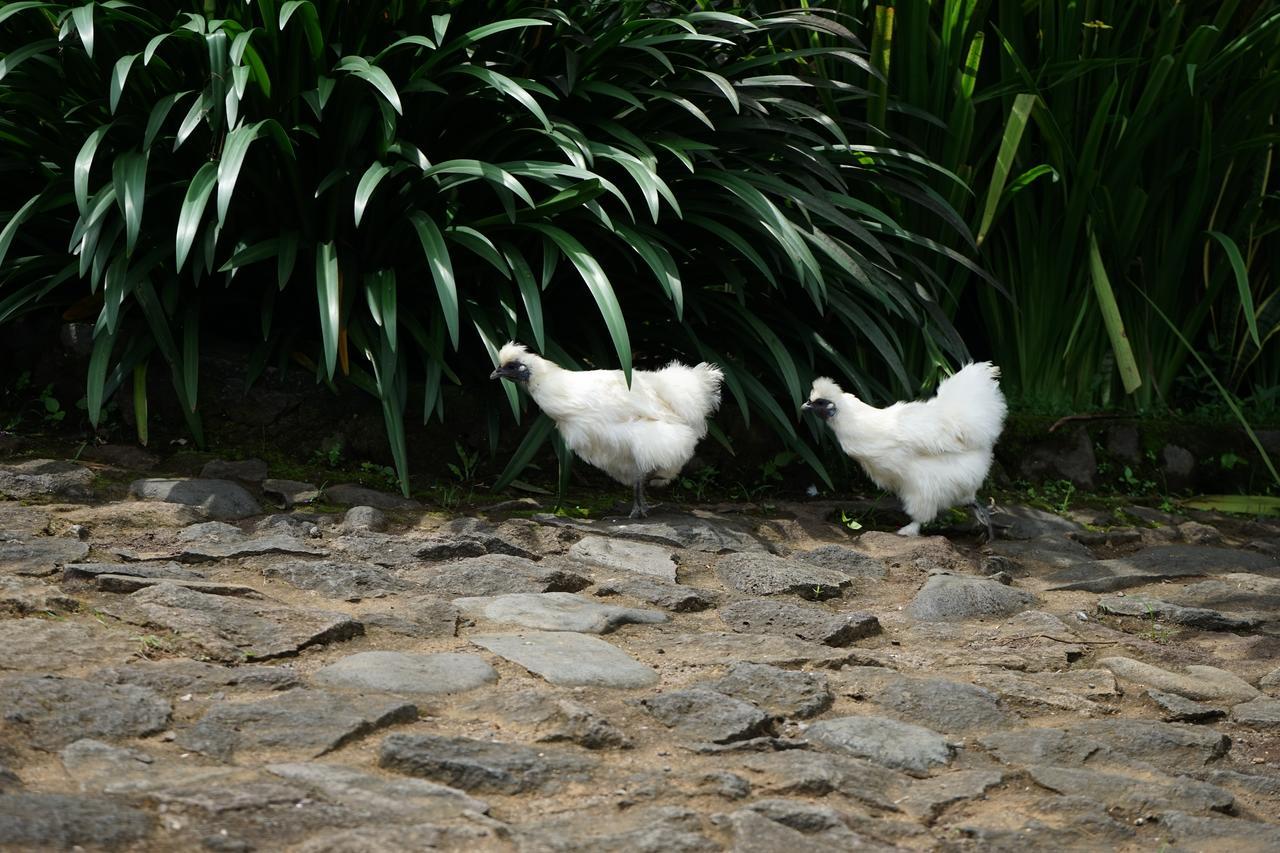 Hotel Rinjani Mountain Garden Bayan Zewnętrze zdjęcie