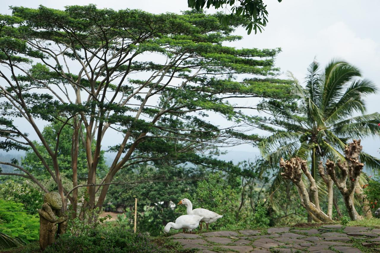 Hotel Rinjani Mountain Garden Bayan Zewnętrze zdjęcie