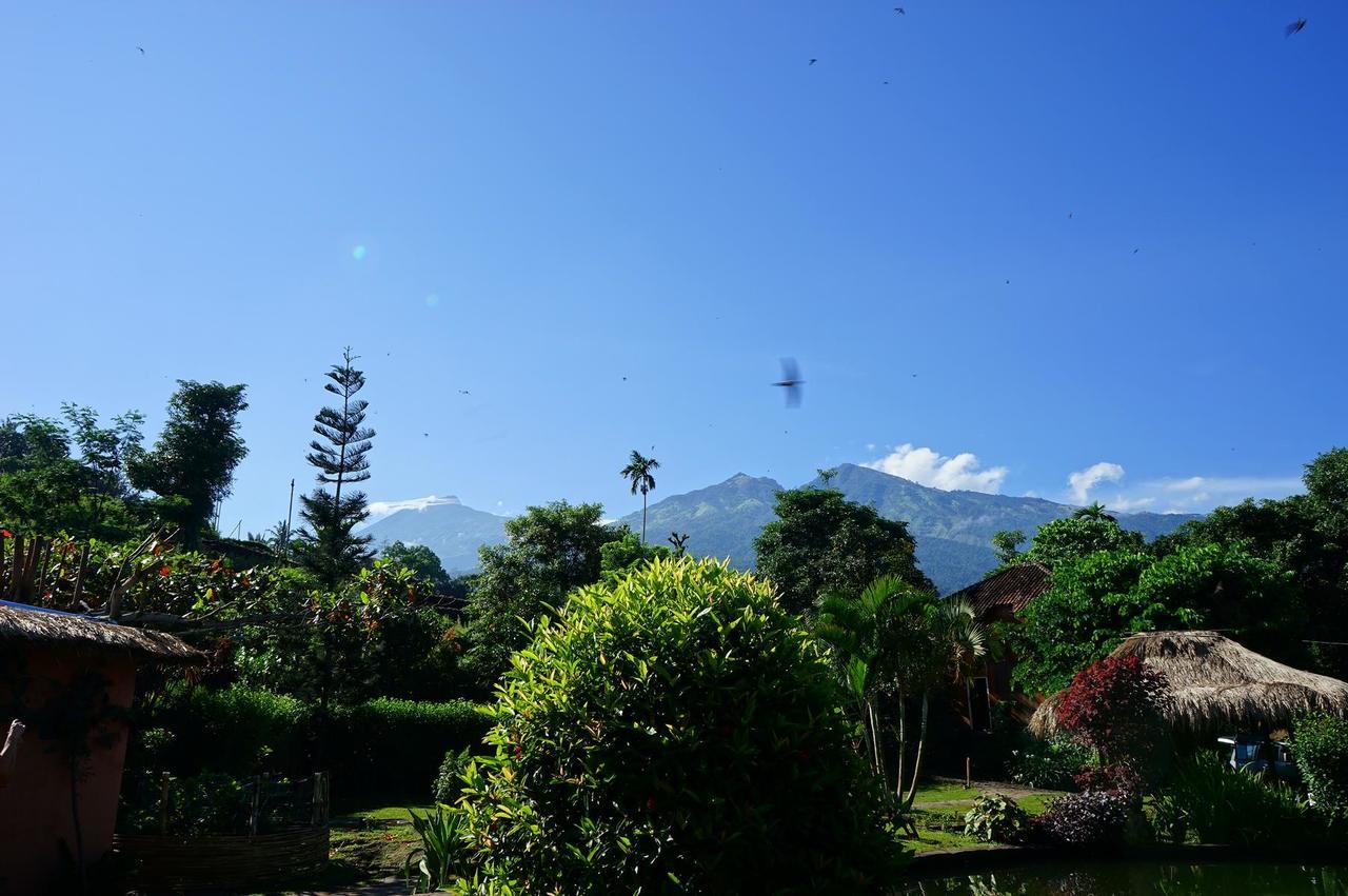 Hotel Rinjani Mountain Garden Bayan Zewnętrze zdjęcie