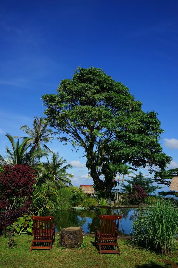 Hotel Rinjani Mountain Garden Bayan Zewnętrze zdjęcie