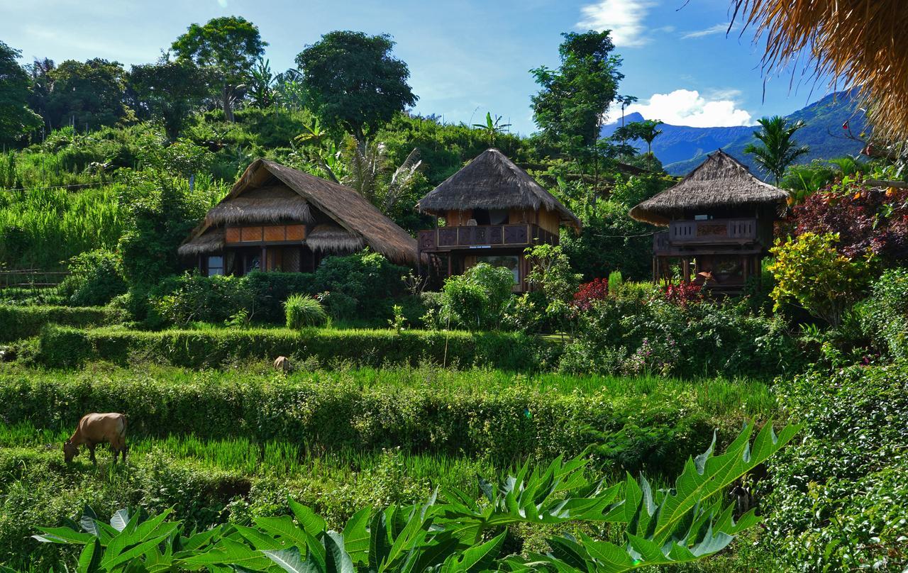 Hotel Rinjani Mountain Garden Bayan Zewnętrze zdjęcie